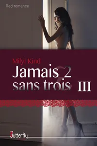 Jamais 2 sans TROIS III_cover