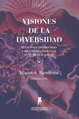 Visiones de la diversidad