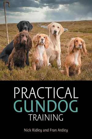 Practical Gundog Training