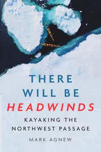 There Will Be Headwinds_cover