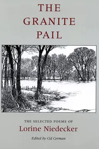 The Granite Pail_cover