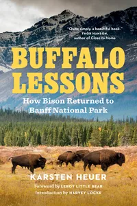 Buffalo Lessons_cover