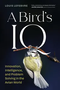 A Bird's IQ_cover