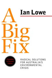 A Big Fix_cover