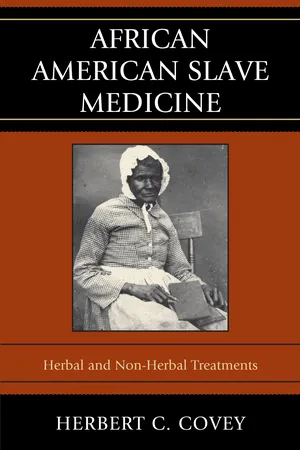 African American Slave Medicine