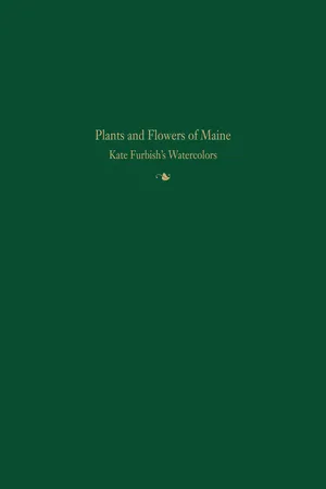 Plants and Flowers of Maine