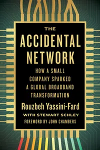 The Accidental Network_cover
