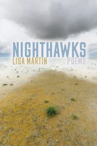 Nighthawks_cover