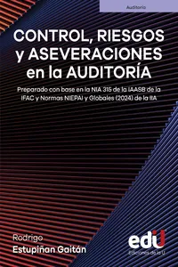 Control, riesgos y aseveraciones en la auditoría_cover