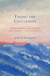Facing the Challenges_cover