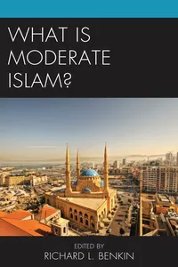 What Is Moderate Islam?_cover