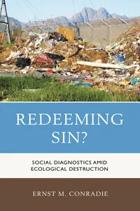 Redeeming Sin?_cover