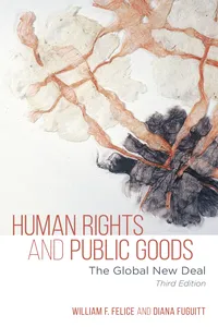 Human Rights and Public Goods_cover
