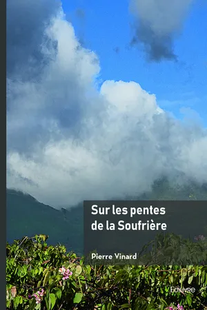 Sur les pentes de la Soufrière