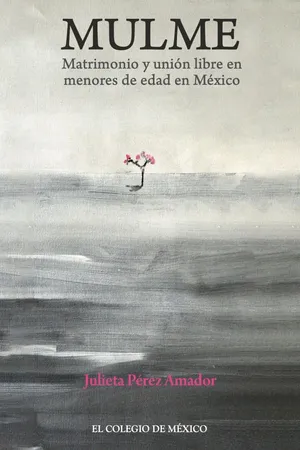 Mulme. Matrimonio y unión libre en menores de edad en México