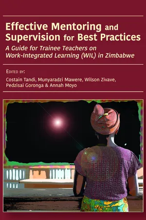 Effective Mentoring and Supervision for Best Practices