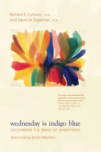 Wednesday Is Indigo Blue_cover