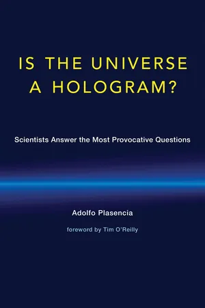 Is the Universe a Hologram?