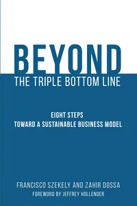 Beyond the Triple Bottom Line_cover