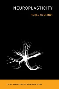 Neuroplasticity_cover