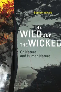 The Wild and the Wicked_cover