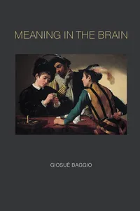 Meaning in the Brain_cover