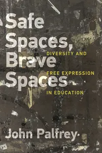 Safe Spaces, Brave Spaces_cover
