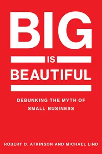 Big Is Beautiful_cover