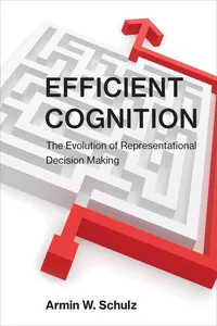 Efficient Cognition_cover