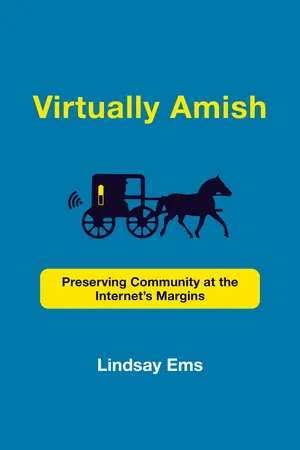 Virtually Amish