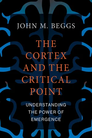 The Cortex and the Critical Point