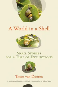 A World in a Shell_cover