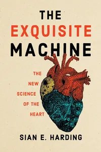 The Exquisite Machine_cover