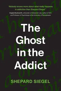 The Ghost in the Addict_cover