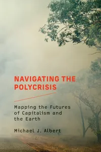 Navigating the Polycrisis_cover
