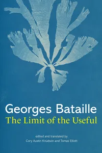 The Limit of the Useful_cover