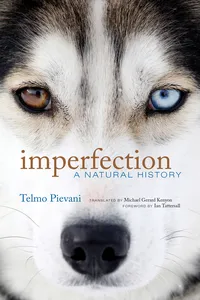 Imperfection_cover