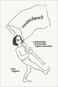 Undeclared_cover