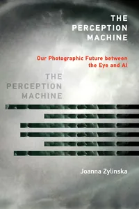 The Perception Machine_cover