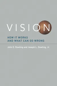 Vision_cover