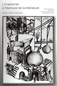 L’irrationnel à l’épreuve de la littérature_cover