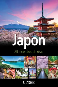Japon - 25 itinéraires de rêve_cover