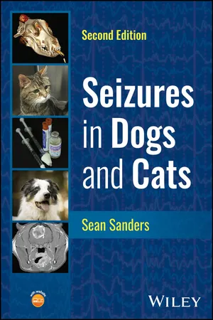 Seizures in Dogs and Cats