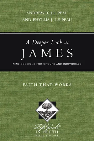 A Deeper Look at James