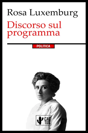 Discorso sul programma