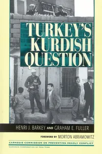 Turkey's Kurdish Question_cover