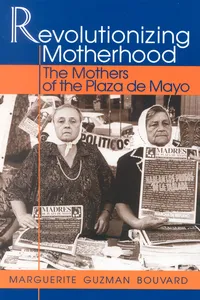 Revolutionizing Motherhood_cover
