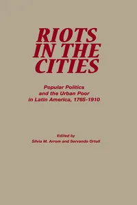 Riots in the Cities_cover