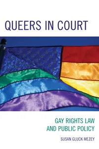 Queers in Court_cover