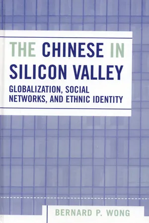 The Chinese in Silicon Valley